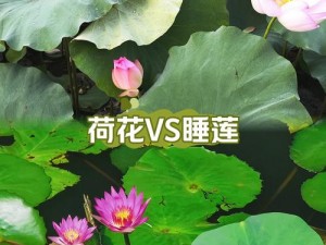 女性莲花开症状是什么样子？如何判断自己是否有这种症状？有了这种症状应该怎么办？