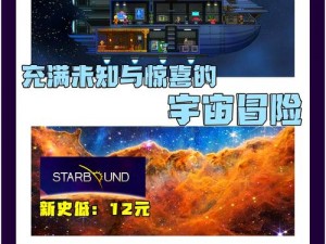 如何在星界边境陨石上求生：探索生存技巧与策略