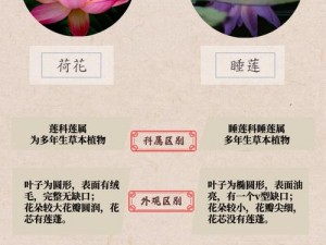 女性半夜莲花开放是怎么回事？该如何治疗？