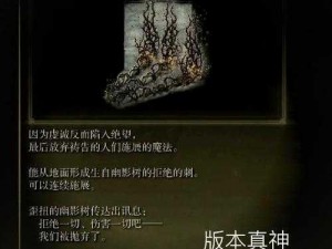 《永恒之柱》法师学习法术推荐：提升实力的必备指南