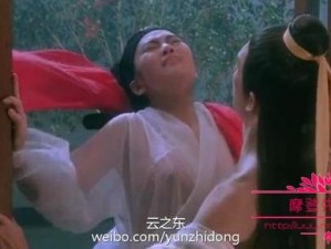 开襟开叉乳液狂飙网站：你想知道为什么它如此受欢迎吗？