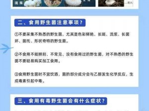 蘑菇吃瓜爆料网站，如何保护用户隐私安全？