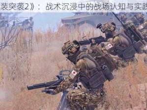 《武装突袭2》：战术沉浸中的战场认知与实践体悟