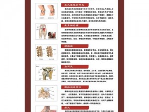 专业 C1V1 骨科，打造健康骨骼