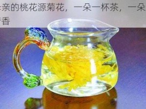 母亲的桃花源菊花，一朵一杯茶，一朵一清香