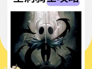 挑战空洞骑士 soul master：全面打法攻略与技巧解析