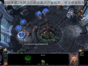 星际争霸2虫群之心黑屏解决方案探索：专业修复指南