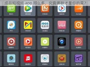 成品短视频 app 那么多，究竟哪款才是你的菜？