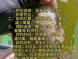 仙山小农的独特钓鱼技巧，你绝对想不到