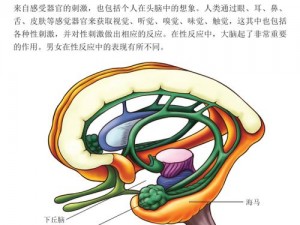 性生生活性生交A级 什么是性生生活性生交 A 级？它与普通性生活有何不同？