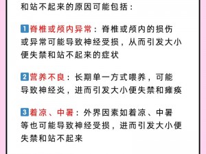 家里的大金毛为什么总是随地大小便？有什么解决办法吗？