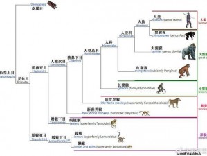 从进化图文攻略看物种演变