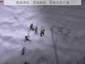 绝境求生：雪地挑战，探索生存之道