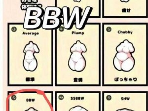 女 BBWBBWBBWBBW 为什么这么受欢迎？如何正确看待这种现象？