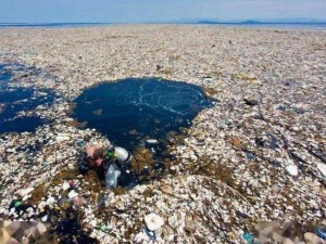 神奇海洋垃圾成灾始末：海洋垃圾涌现时间及其影响探寻