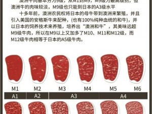 奥兹玛一牛二牛三牛奖励有何区别？如何解析？