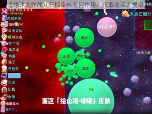 《球球大作战红石榴染料有何作用？获取途径大揭秘》