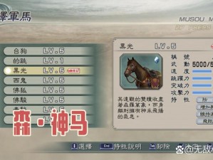 真三国无双魏国极速战术解析：揭秘12木战略制胜之道