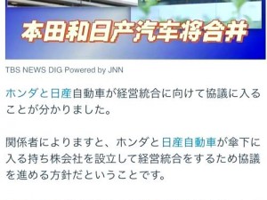 2020 年亚洲、欧洲、日产、韩国的车市为何如此不同？有何解决办法？