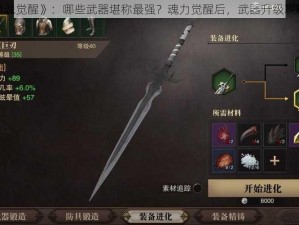 探究《猎魂觉醒》：哪些武器堪称最强？魂力觉醒后，武器升级攻略大揭秘