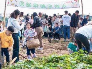 体验田园生活，全民农场的日常必备 5 件事