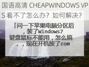 国语高清 CHEAPWINDOWS VPS 看不了怎么办？如何解决？