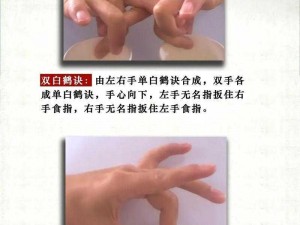 玉势是什么？如何正确使用玉势提升性体验？