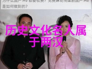 为什么国产 MV 都要收费？免费麻花传媒剧国产 MV 是如何做到的？