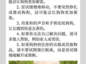 我家狗狗卡在里面痛怎么办？为什么会这样？如何解决？