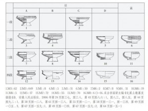 B的几种类型图例-B 的几种类型图例：探秘 B 的不同形态