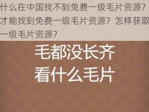 为什么在中国找不到免费一级毛片资源？如何才能找到免费一级毛片资源？怎样获取免费一级毛片资源？