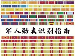 探索全球行动军衔体系，了解军衔背后的责任与荣誉