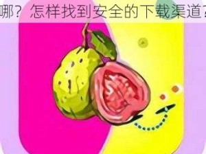 芭乐 APP 官网下载入口在哪？怎样找到安全的下载渠道？