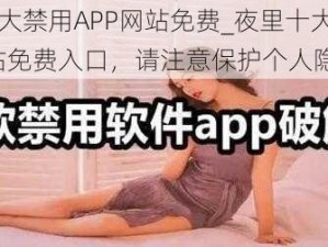 夜里十大禁用APP网站免费_夜里十大禁用 APP 网站免费入口，请注意保护个人隐私