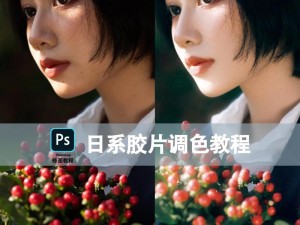 如何免费获得 Ps 一二级调色大片？