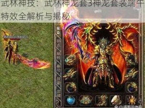 武林神技：武林神龙套3神龙套装端午特效全解析与揭秘