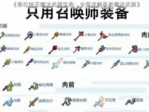 《泰拉瑞亚魔法武器宝典：全面详解各类魔法武器》