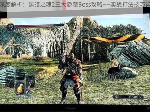 深度解析：黑暗之魂2三大隐藏Boss攻略——实战打法技巧详解