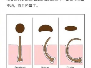 又大又租又长视频，为什么看不了？如何解决？