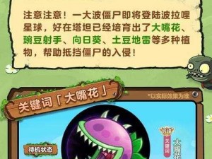 《球球大作战开启四级超大宝箱全道具一览》