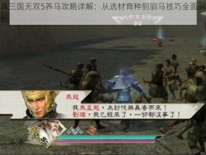 真三国无双5养马攻略详解：从选材育种到驯马技巧全面解析