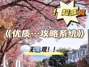 沈芙优质攻略系统免费阅读：为什么要选择它？如何使用？有哪些痛点场景？