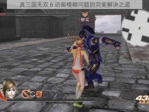 真三国无双 6 动画模糊问题的完美解决之道