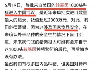 美国人与猪的 DNA 有什么关系？科学家称其能为人类提供疾病治疗新思路