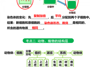 99 精产国品一二三产区的区别在于它们的特点和优势各不相同