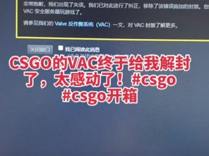 55 岁大妈玩 csgo 被封打不开，这是为何？该如何解决？