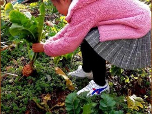 12岁女孩拔萝卜叫痛怎么办？—12 岁女孩拔萝卜时感觉疼痛，该如何是好？