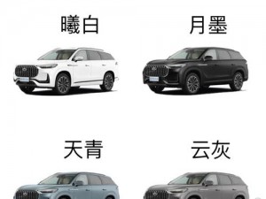 国产 SUV 精二区九色有何特点？怎样才能选到适合自己的？