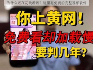 为什么还在花钱看污？这里有免费的完整视频软件