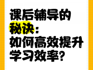 课后辅导【课后辅导：提升学习效果的重要途径】